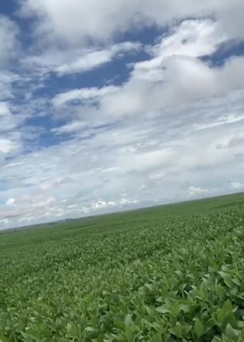 Captura de tela 2026-02-25 181203