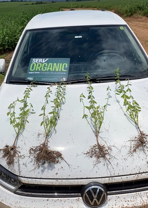 Captura de tela 2026-02-25 181329