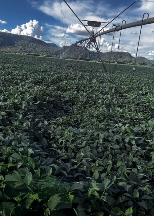 WhatsApp Image 2026-01-13 at 09.48.46