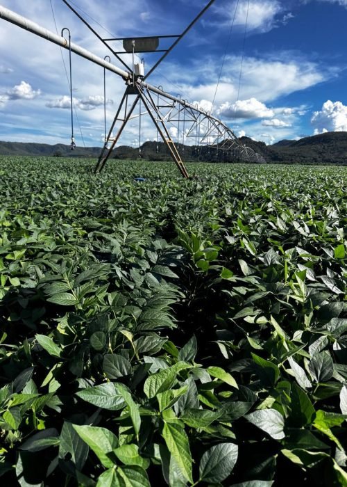 WhatsApp Image 2026-01-13 at 09.48.47