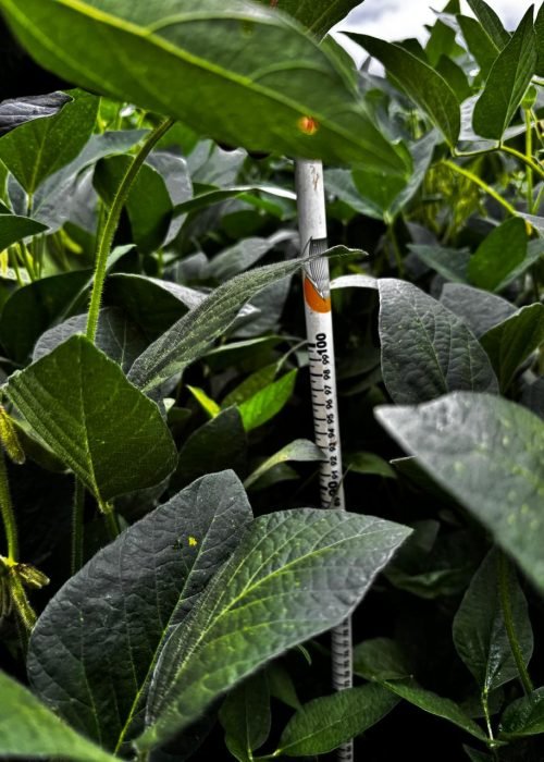 WhatsApp Image 2026-01-21 at 08.44.42