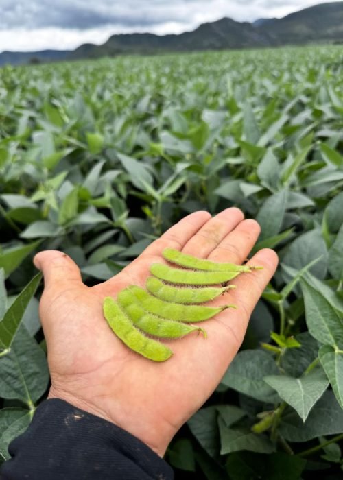 WhatsApp Image 2026-01-21 at 08.44.49