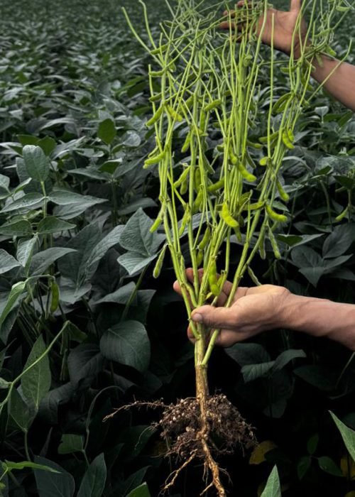 WhatsApp Image 2026-01-21 at 08.44.51